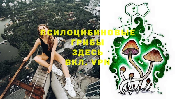 марки nbome Каменка
