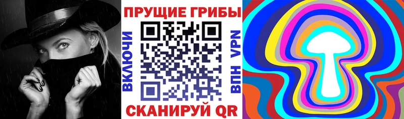 Купить  Торжок  Псилоцибиновые грибы мухоморы 