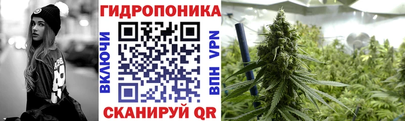 Бошки Шишки SATIVA & INDICA  Купить где  Торжок 
